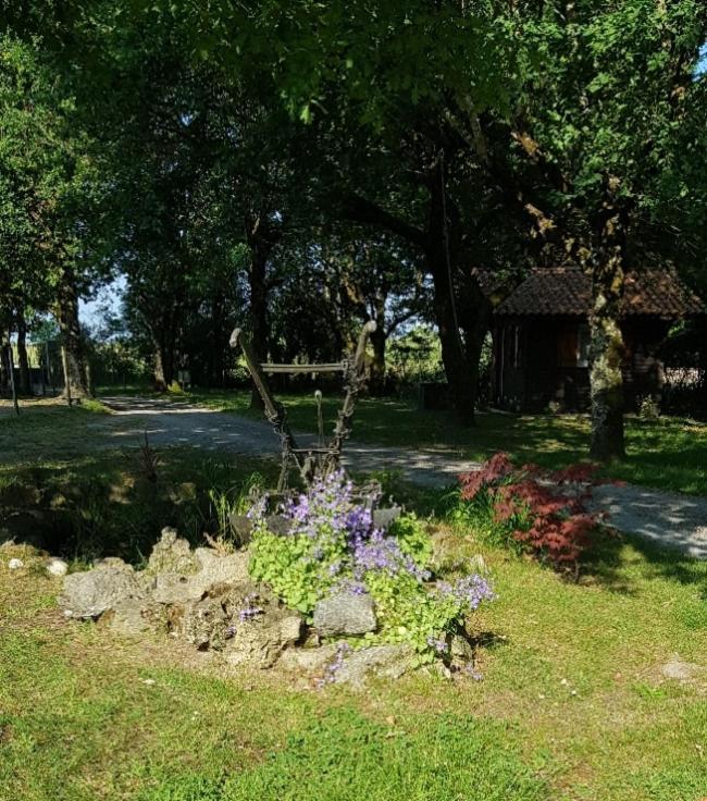 Cussac-Fort-Medoc Chalet Du Moulin מראה חיצוני תמונה